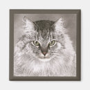 Pesquisar por lápis desenho imas Gato