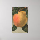 Pesquisar por cromo impressão de canvas Fruta