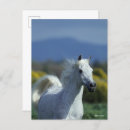 Pesquisar por árabe cartoes postais Cinza