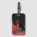 Pesquisar por leite bagagem tags Aves