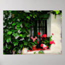 Pesquisar por janela de imagem pôsteres pósteres Imagens