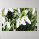 Pesquisar por beautiful fotografia Green