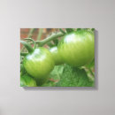 Pesquisar por tomate impressão de canvas Comida