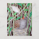 Pesquisar por arte do pássaro cartoes postais Trabalho de arte