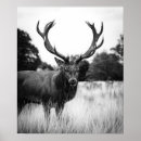 Pesquisar por cerveja pôsteres pósteres Impressão