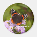 Pesquisar por butterfly imas Butterflies