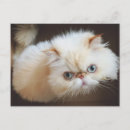 Pesquisar por olhos humanos cartoes postais Close up