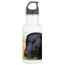 Pesquisar por labrador garrafa agua Animal