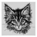Pesquisar por gatinho preto e branco pósteres Felino