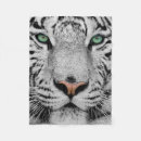 Pesquisar por tigre branco mantas Gato