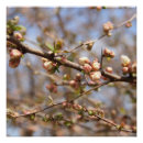 Pesquisar por tela o pôsteres pósteres Qualquer pessoa