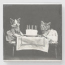 Pesquisar por de aniversário engraçado do gatinho cozinha jantar Qualquer pessoa