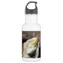 Pesquisar por lagarto garrafa agua Komodo