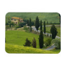 Pesquisar por pienza imas Cipreste