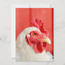 Pesquisar por galo engraçado convites Animal