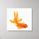 Pesquisar por aletas impressão de canvas Criaturas do sealife