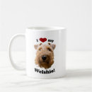 Pesquisar por foto do terrier Amor