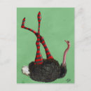 Pesquisar por avestruzes cartoes postais Animais