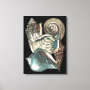 Pesquisar por visão impressão de canvas Concha