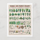 Pesquisar por gráfica cartoes postais Plantas