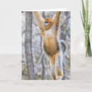 Pesquisar por funny monkey cartoes Primate