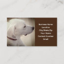 Pesquisar por marrom escuro cartao de visita Rústico