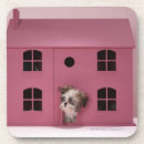 Pesquisar por completo casa presentes Rosa