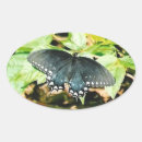 Pesquisar por borboleta branca adesivos Inseto
