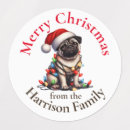 Pesquisar por do pug etiquetas Natal
