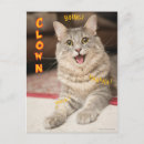 Pesquisar por grumpy cat Cute
