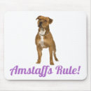 Pesquisar por amstaff Cachorrinho