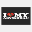 Pesquisar por abyssinian Gata