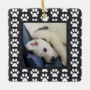 Pesquisar por cachorrinho ornamentos Foto