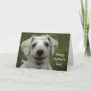 Pesquisar por best dog mom cartoes Dogs