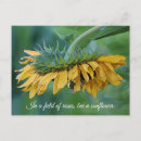 Pesquisar por sunflower cartoes postais Flor