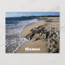 Pesquisar por praias havaianas cartoes postais Ilhas