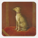 Pesquisar por galgo adesivos Retrato