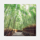 Pesquisar por floresta de bambu imas Japão