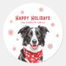 Pesquisar por border collie adesivos Foto