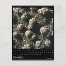 Pesquisar por 2010 cartoes postais Calendário