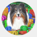 Pesquisar por shelties adesivos Animais de companhia
