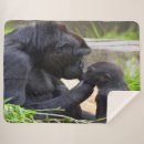 Pesquisar por gorila mantas Macaco