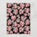 Pesquisar por salamandra cartoes postais Animal