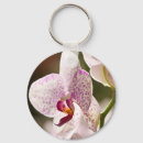 Pesquisar por orquídeas chaveiros Rosa
