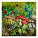 Pesquisar por cogumelos pósteres Qualquer pessoa