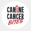 Pesquisar por caninos adesivos Cão