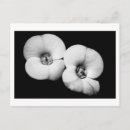 Pesquisar por coroa espinhos cartoes postais Flores