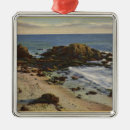 Pesquisar por antena ornamentos Imprensa