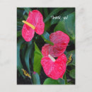Pesquisar por heart card cartoes postais Vermelho