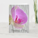 Pesquisar por thinking of you Tropical